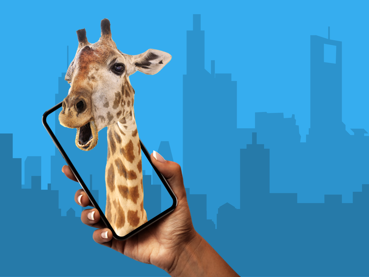 Giving the Gift of Augmented Reality