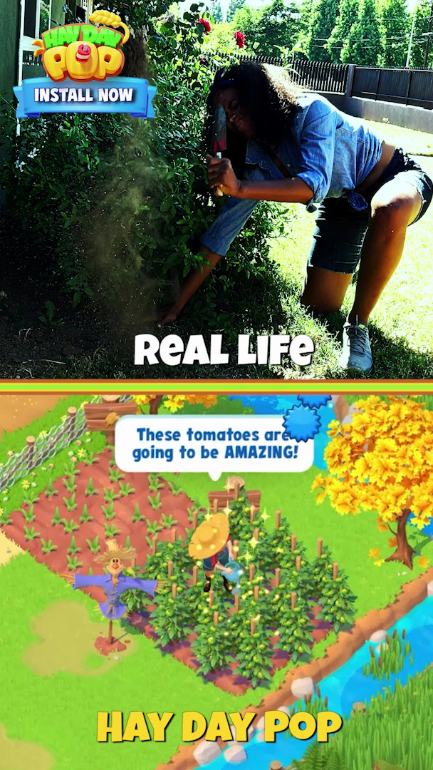 Hay Day Pop vs. Real Life