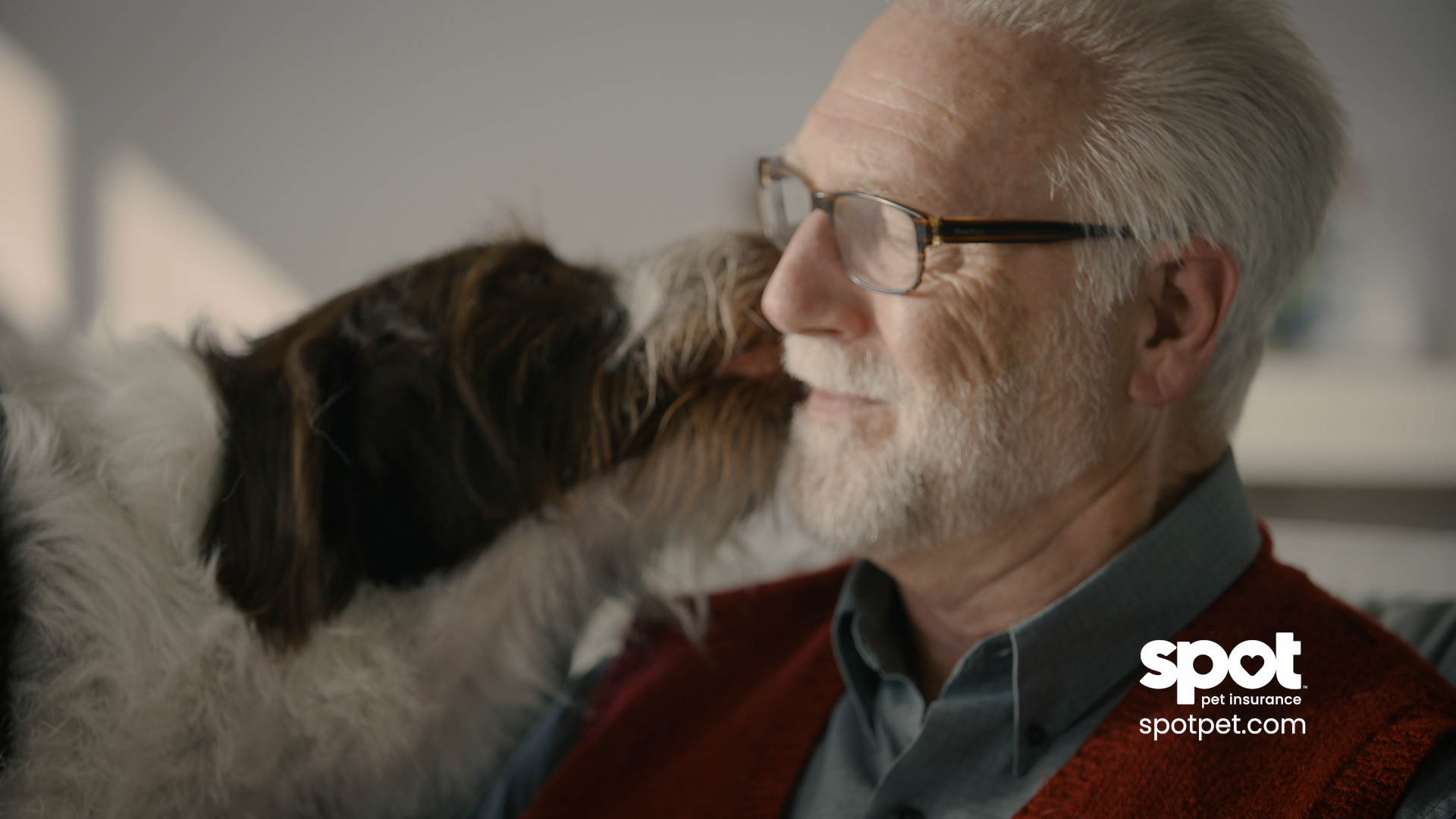 Spot Pet Insurance