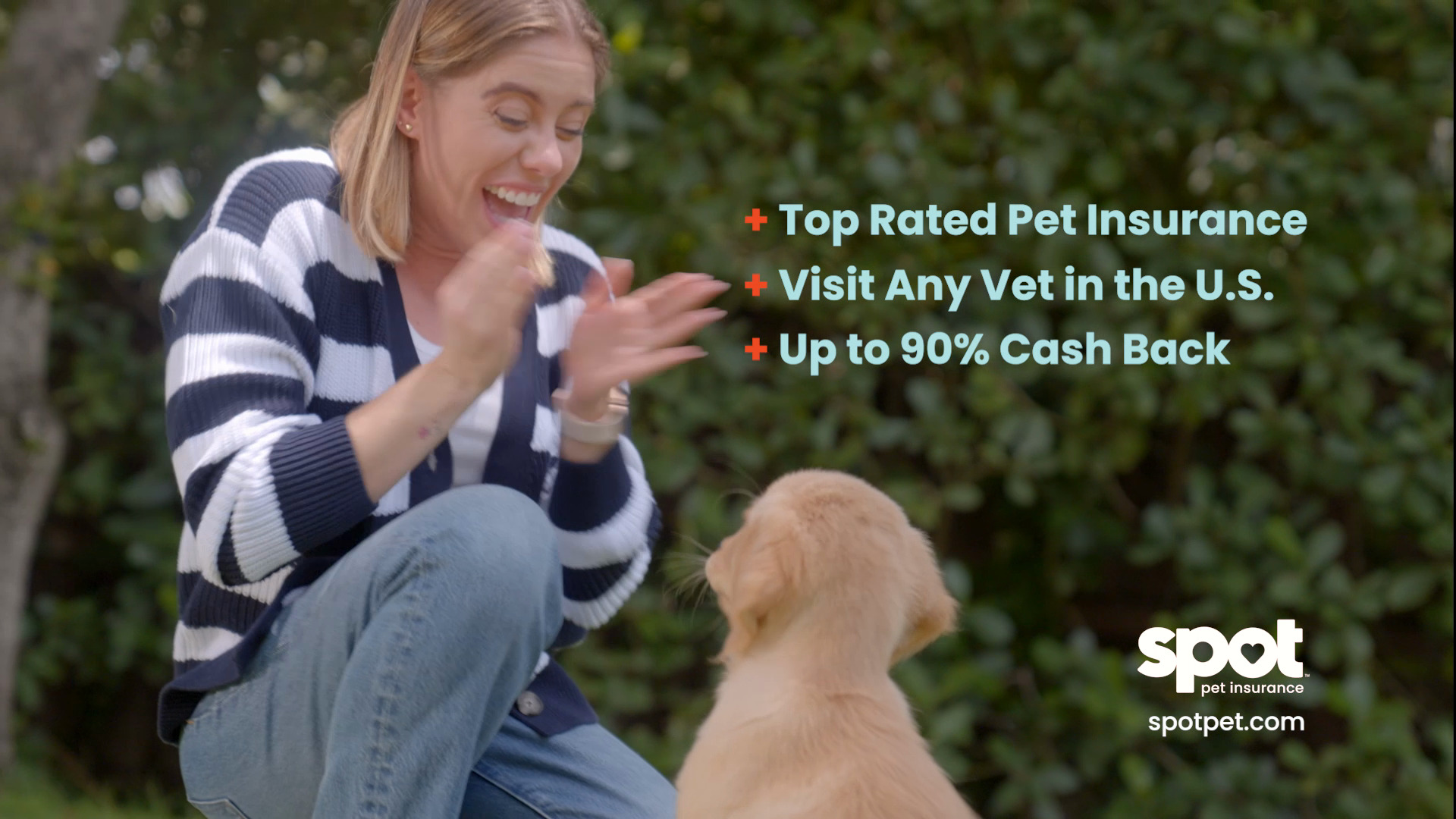 Spot Pet Insurance